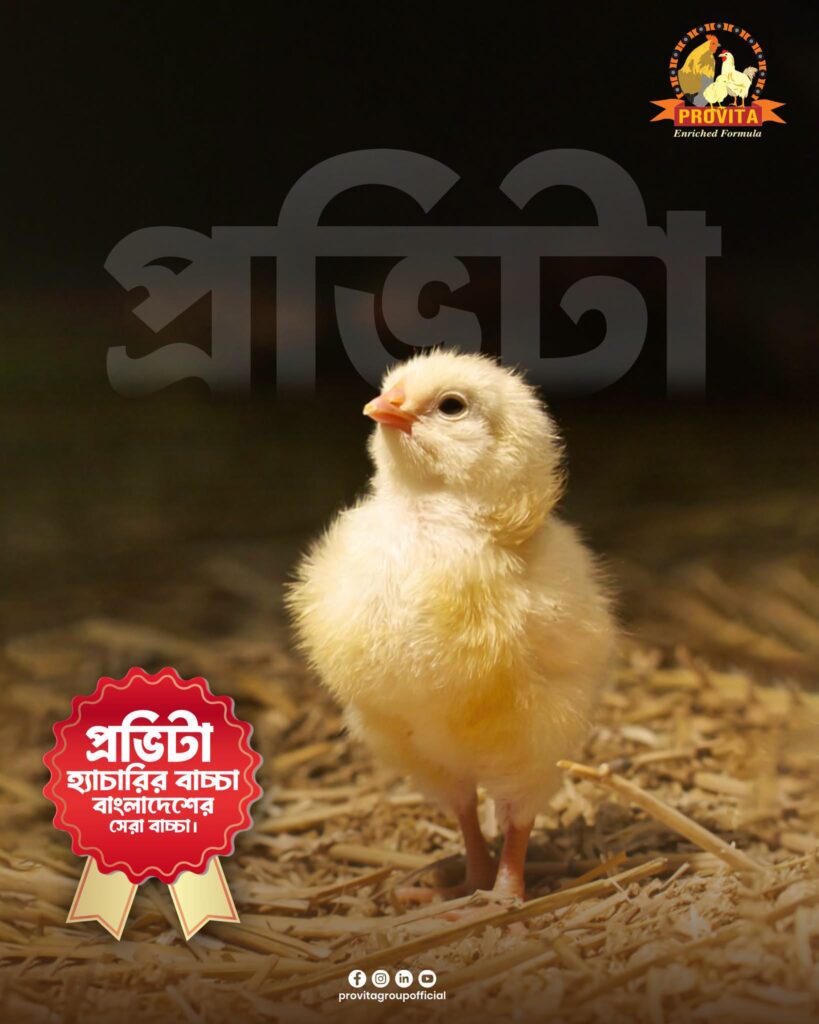 Provita Group Bangladesh